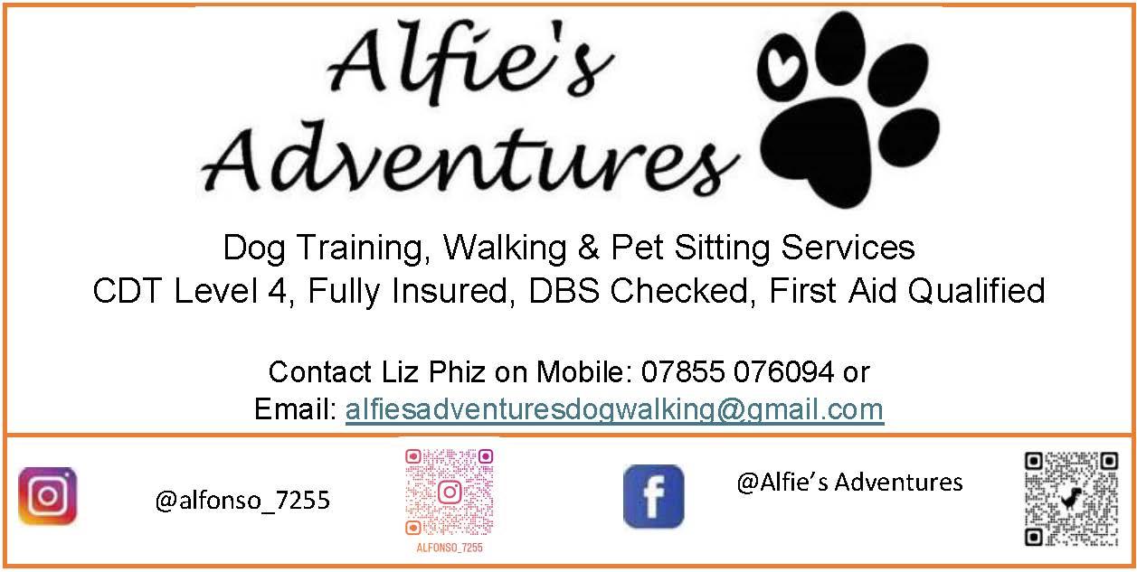 Alfie’s Adventures